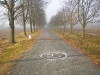 dscn6195