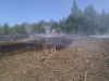 2012-05-20-14-49-15
