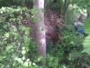 2012-05-09-15-36-45