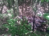 2012-05-09-15-37-13
